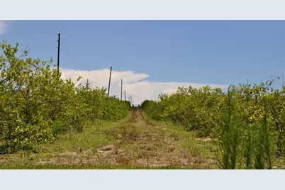 Lake Marie Drive, Haines City, FL 33844 - Photo 5