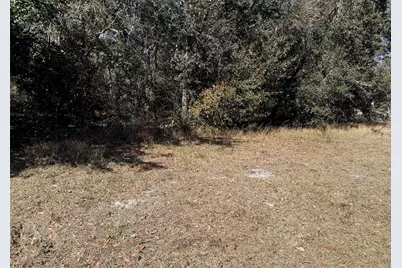 918 Loquat Tree Road, Orlando, FL 32811 - Photo 9