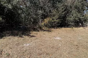 918 Loquat Tree Rd, Orlando, FL 32811 - Photo 9