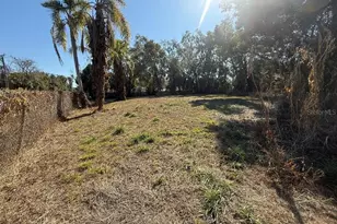 7700 Bates Rd, Orlando, FL 32807 - Photo 19