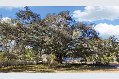 1621 E University Avenue, Gainesville, FL 32641 - Photo 5