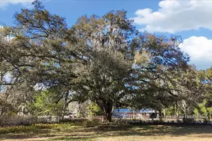 1621 E University Ave, Gainesville, FL 32641 - Photo 5