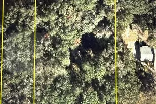 101 Piney Woods Rd, Apopka, FL 32703 - Photo 1