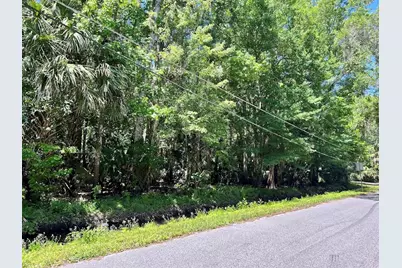 379 N Jungle Road, Geneva, FL 32732 - Photo 1