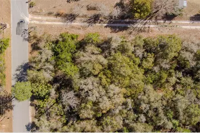 Cochran Road, Geneva, FL 32732 - Photo 27