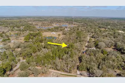 Cochran Road, Geneva, FL 32732 - Photo 17