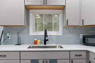 412 E Harwood St, Orlando, FL 32803 - Photo 37