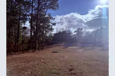 900 Racoon Trail, Frostproof, FL 33843 - Photo 3