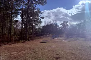 900 Racoon Trail, Frostproof, FL 33843 - Photo 3