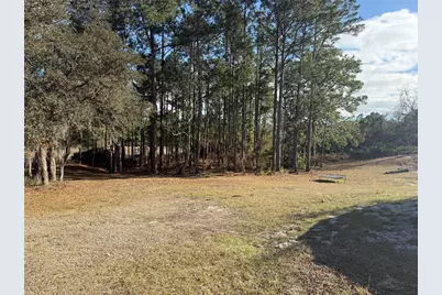 900 Racoon Trail, Frostproof, FL 33843 - Photo 5