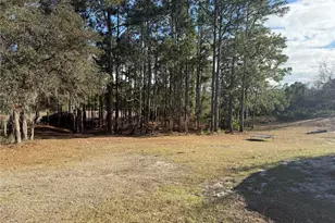 900 Racoon Trail, Frostproof, FL 33843 - Photo 5