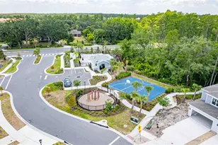 4786 Sparkling Shell Ave, Kissimmee, FL 34746 - Photo 17