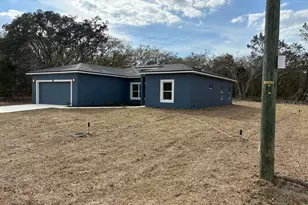 30 Fisher Trace Run, Ocklawaha, FL 32179 - Photo 3