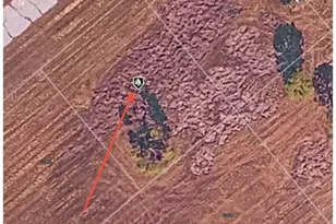 12394 Corbina Ct, Placida, FL 33946 - Photo 1