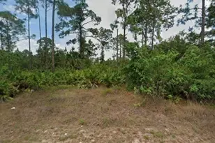 904 Robert Ave, Lehigh Acres, FL 33936 - Photo 1