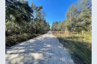 10570 246th Trace, O'Brien, FL 32071 - Photo 5