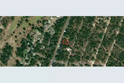 Tbd NE State Road 121, Williston, FL 32696 - Photo 9