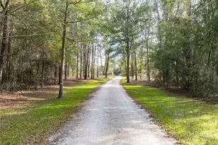 9972 SW County Rd 240, Lake City, FL 32024 - Photo 61