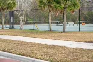 10235 Cala Lily Trail, Orlando, FL 32832 - Photo 29