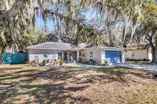 5314 Mt Olive Rd, Polk City, FL 33868 - Photo 29