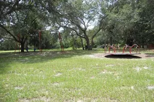 1007 Saddleback Ridge Rd, Apopka, FL 32703 - Photo 11