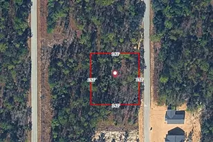 SW Alvarez Rd, Dunnellon, FL 34431 - Photo 1