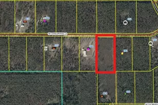 462 NE Calabazilla Trail, Lee, FL 32059 - Photo 1