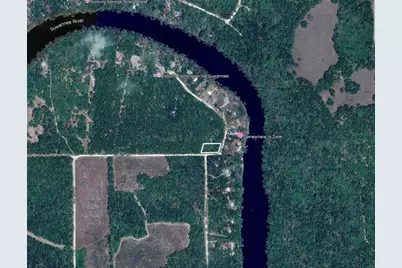 Ne Trestle Dr, Mayo, FL 32066 - Photo 5