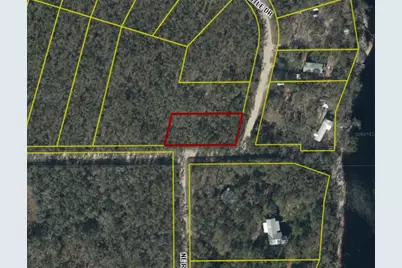 Ne Trestle Dr, Mayo, FL 32066 - Photo 3