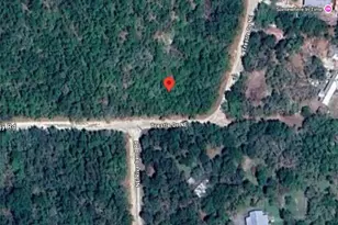 NE Trestle Dr, Mayo, FL 32066 - Photo 1