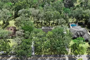 30768 Prestwick Ave, Sorrento, FL 32776 - Photo 31