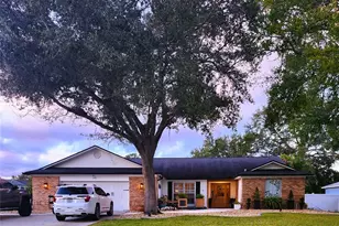 338 Lafayette Blvd, Oldsmar, FL 34677 - Photo 1