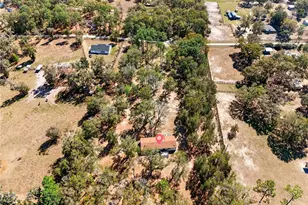 10427 NW 8th Ln, Ocala, FL 34482 - Photo 55