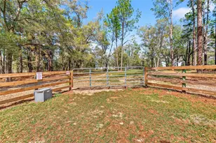 10427 NW 8th Ln, Ocala, FL 34482 - Photo 3