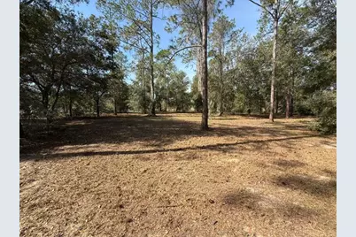 Bonsmara Drive, Leesburg, FL 34748 - Photo 5