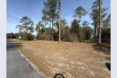 Bonsmara Drive, Leesburg, FL 34748 - Photo 11