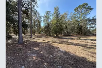 Bonsmara Drive, Leesburg, FL 34748 - Photo 7