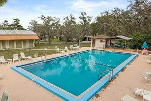 1960 Pinewood Ln, Mount Dora, FL 32757 - Photo 11