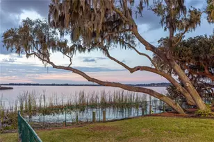 1359 Elysium Blvd, Mount Dora, FL 32757 - Photo 41