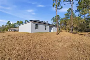 8041 N Pickinz Way, Citrus Springs, FL 34433 - Photo 33