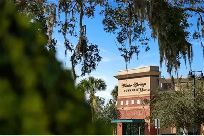 1260 Crab Apple Lane, Winter Springs, FL 32708 - Photo 27