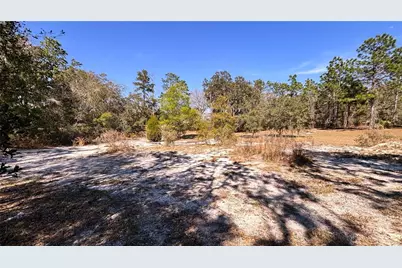 Lincoln Road, Deland, FL 32724 - Photo 9