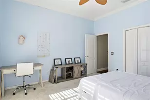 909 Allegro Ln, Apollo Beach, FL 33572 - Photo 33