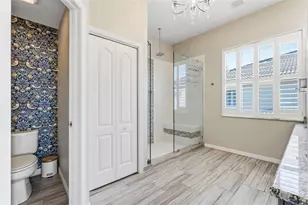 909 Allegro Ln, Apollo Beach, FL 33572 - Photo 53