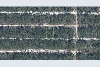 613 Parakeet Avenue, Sebring, FL 33872 - Photo 1