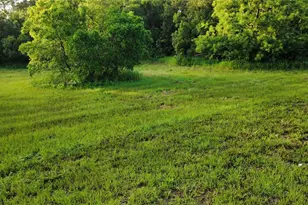 327 Beaver Brook Ln, Oak Hill, FL 32759 - Photo 1