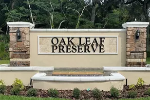 2291 Lake Preserve Cir, New Smyrna Beach, FL 32168 - Photo 11