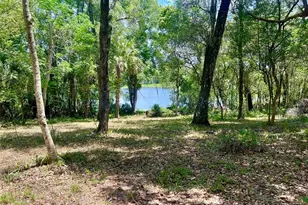 Vista St, Lake Helen, FL 32744 - Photo 7