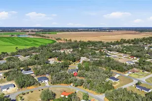 42 Olive Dr, Ocala, FL 34472 - Photo 25