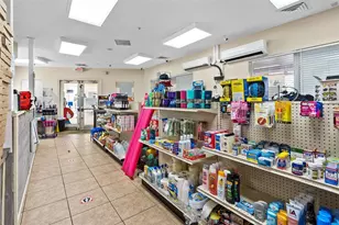 2535 Renshaw St, Kissimmee, FL 34747 - Photo 85